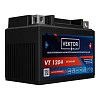 Аккумуляторная батарея VEKTOR PLUS VT 1204